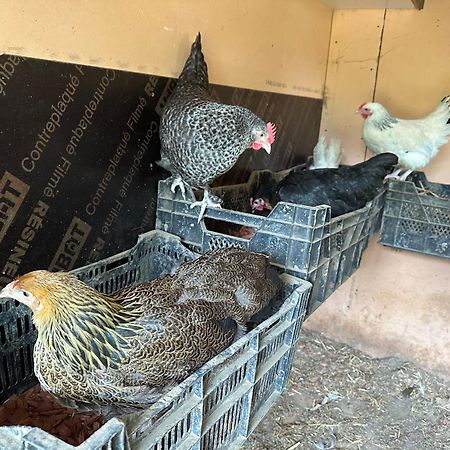 La Villagio Parmain Kültér fotó